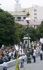 Photo shows large group of Iraq war protesters in the grounds of parliament.